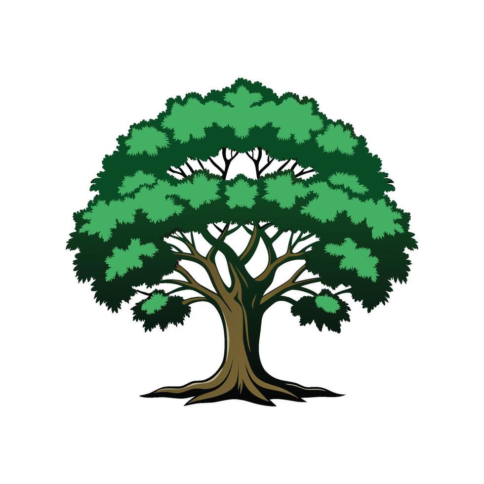 Outline of Southern Live Oak Tree Design vector