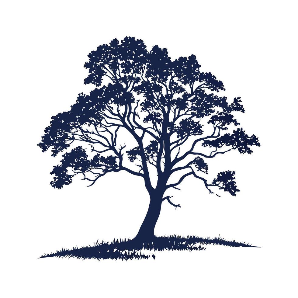 Swamp Chestnut Oak Tree Bold Outline vector