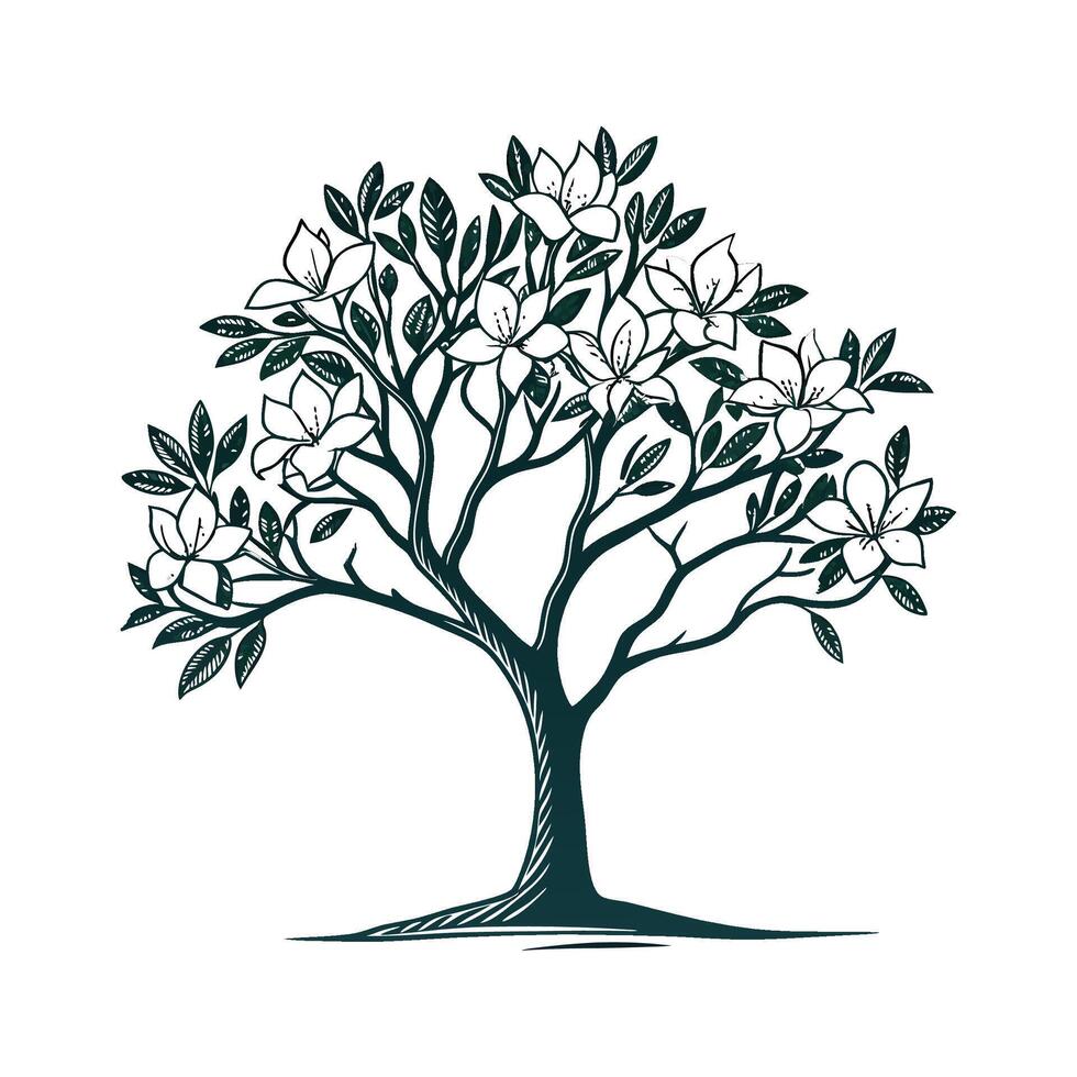 Sweet Bay Magnolia Tree Outline Design vector