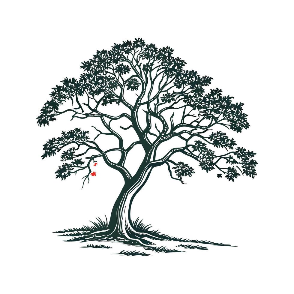 Texas Persimmon Tree Bold Outline Design vector