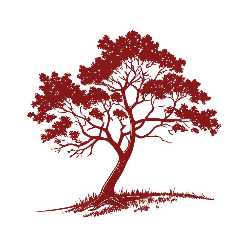 Bold Outline Texas Persimmon Tree vector