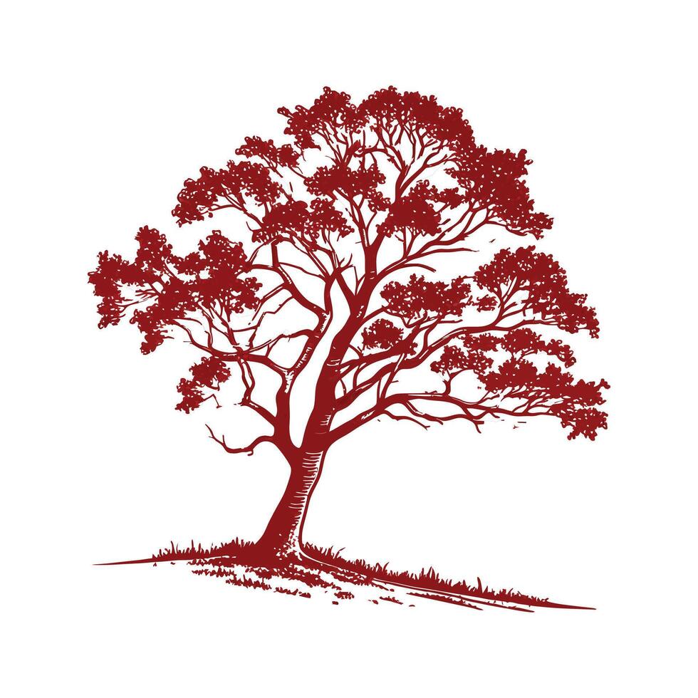 Bold Outline Texas Red Oak Tree. vector