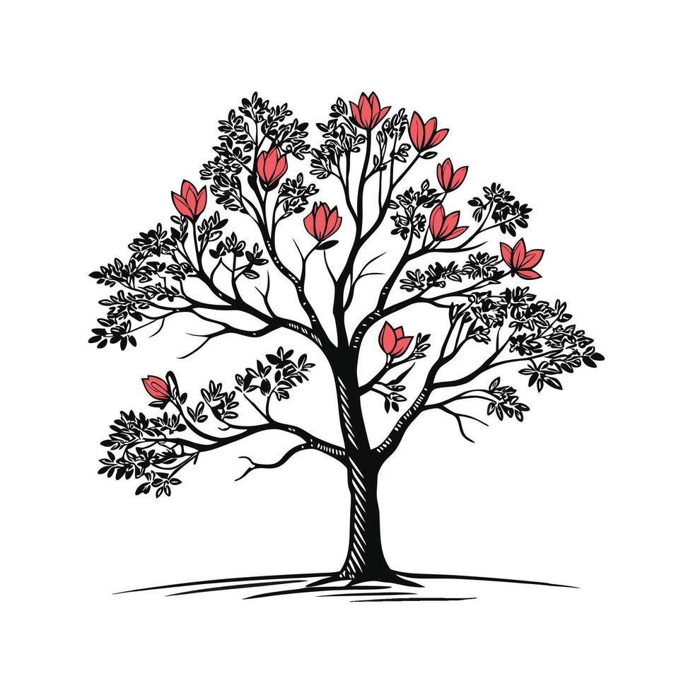 Tulip Poplar Tree Bold Outline Design. vector