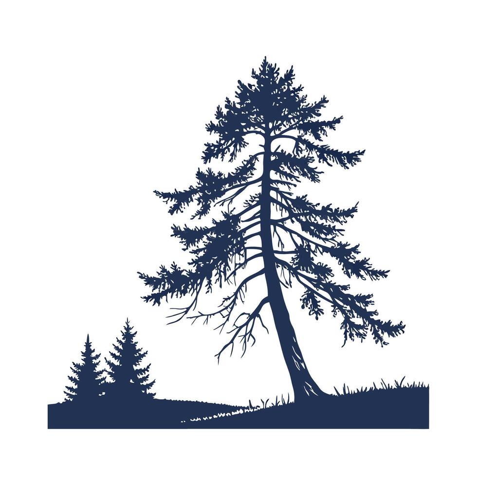 Outline of Western Hemlock Tree vector