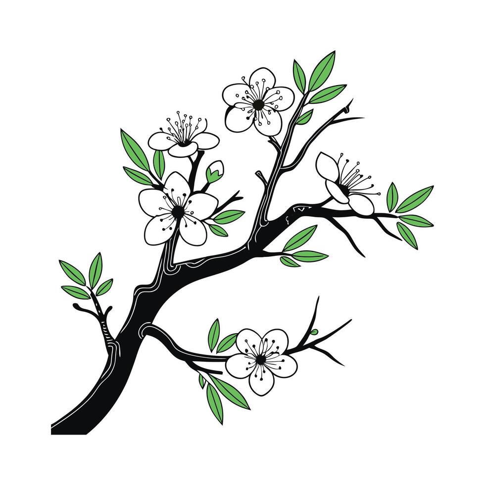 Outline of Wild Plum Tree vector