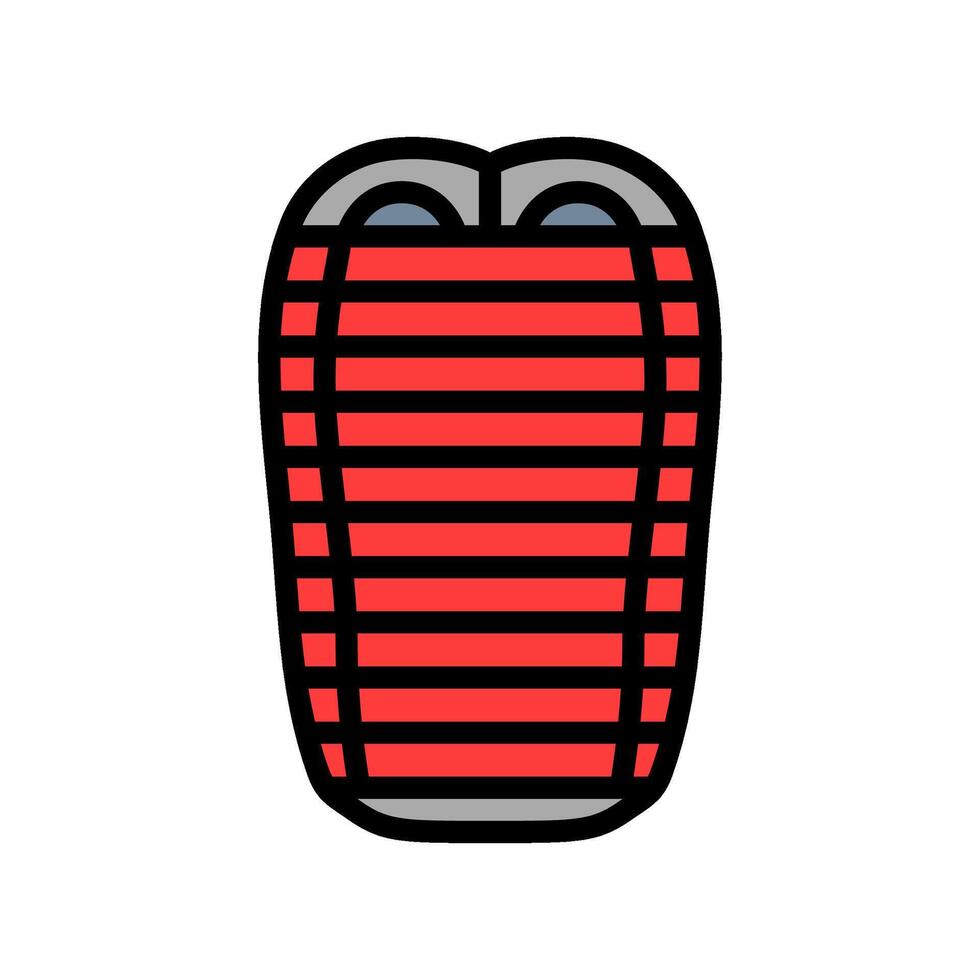 double cocoon sleeping bag color icon illustration vector