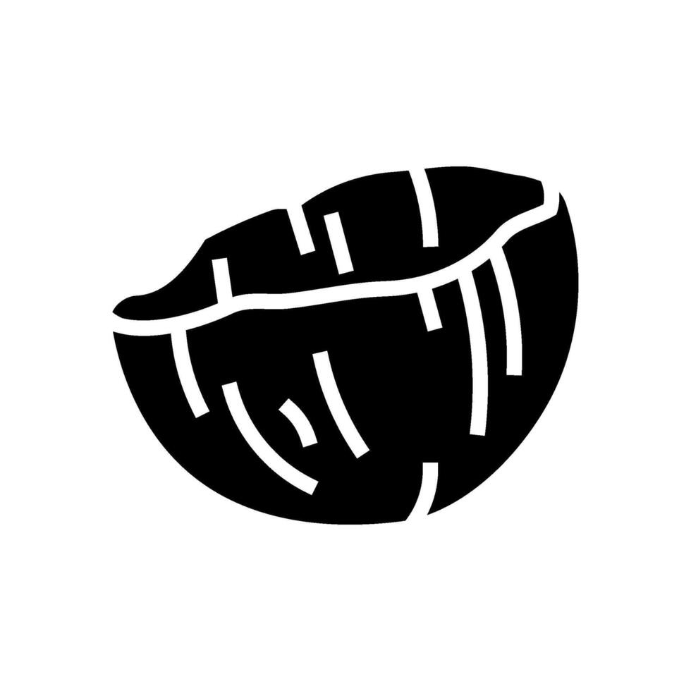 coconut shell sustainable beauty glyph icon illustration vector