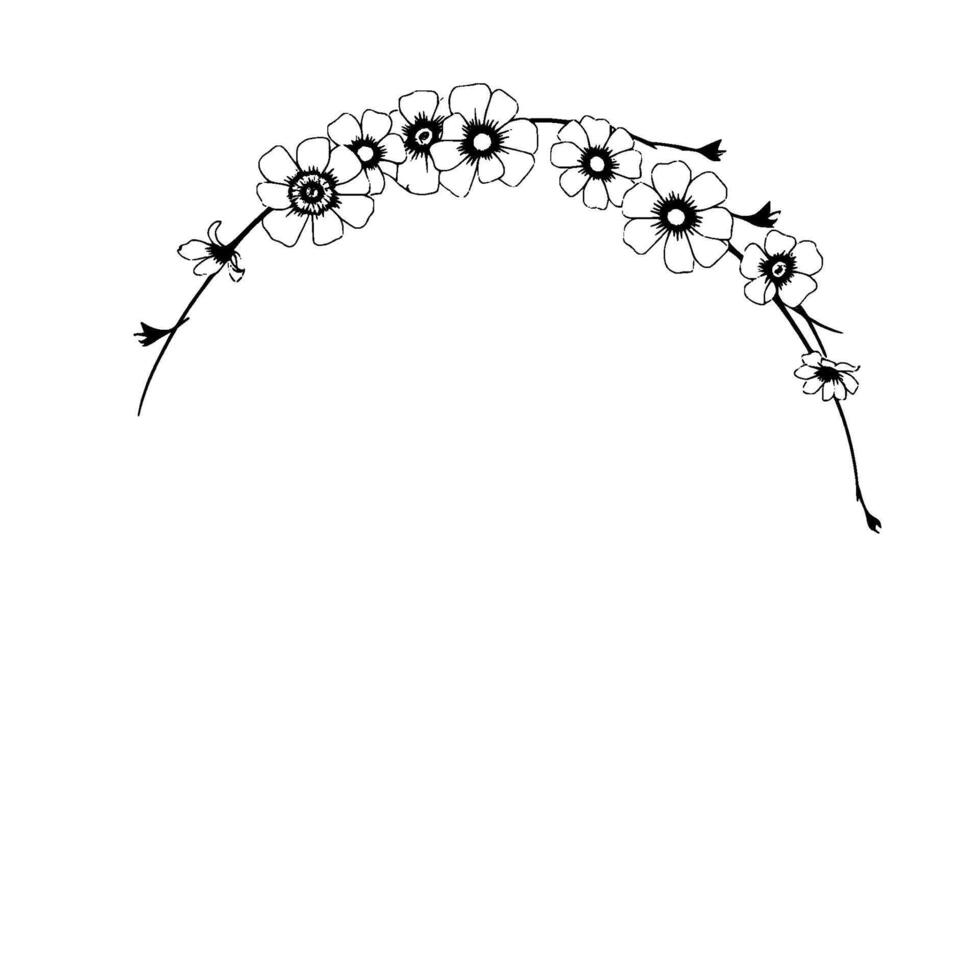 Delicate Arching Floral Illustration in Black and White, Depicting Blooming Flowers on a Curved Stem, Minimalist . vector