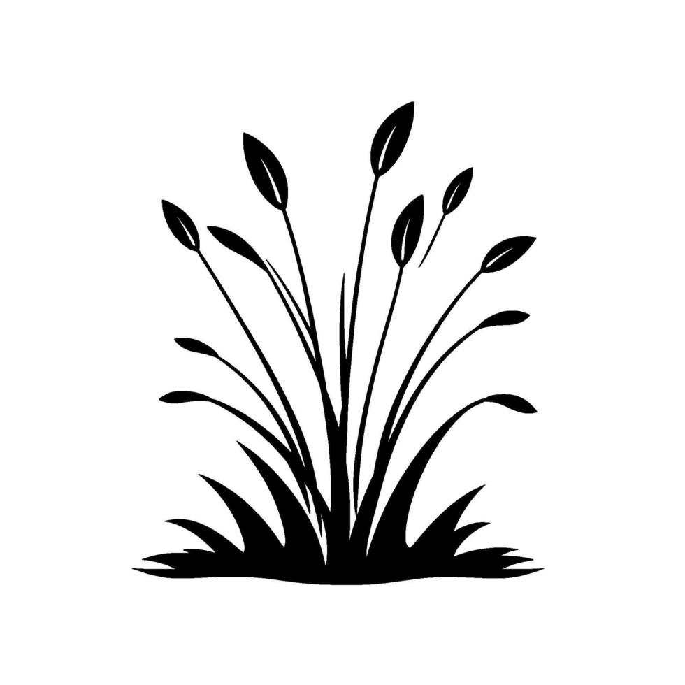 Elegant Black Silhouette of a Plant with Long, Slender Stems, Leafy Heads, and Broad, Spiky Base against White Background. vector