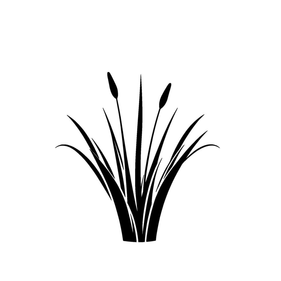 Stylized Black and White Illustration of Cattails and Reeds, Minimalist Nature Scene on White Background. vector