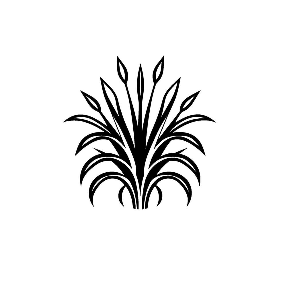 Stylized Black White Botanical Illustration of a Lush Plant with Linear Leaves and Budding Stalks, on White Background. vector