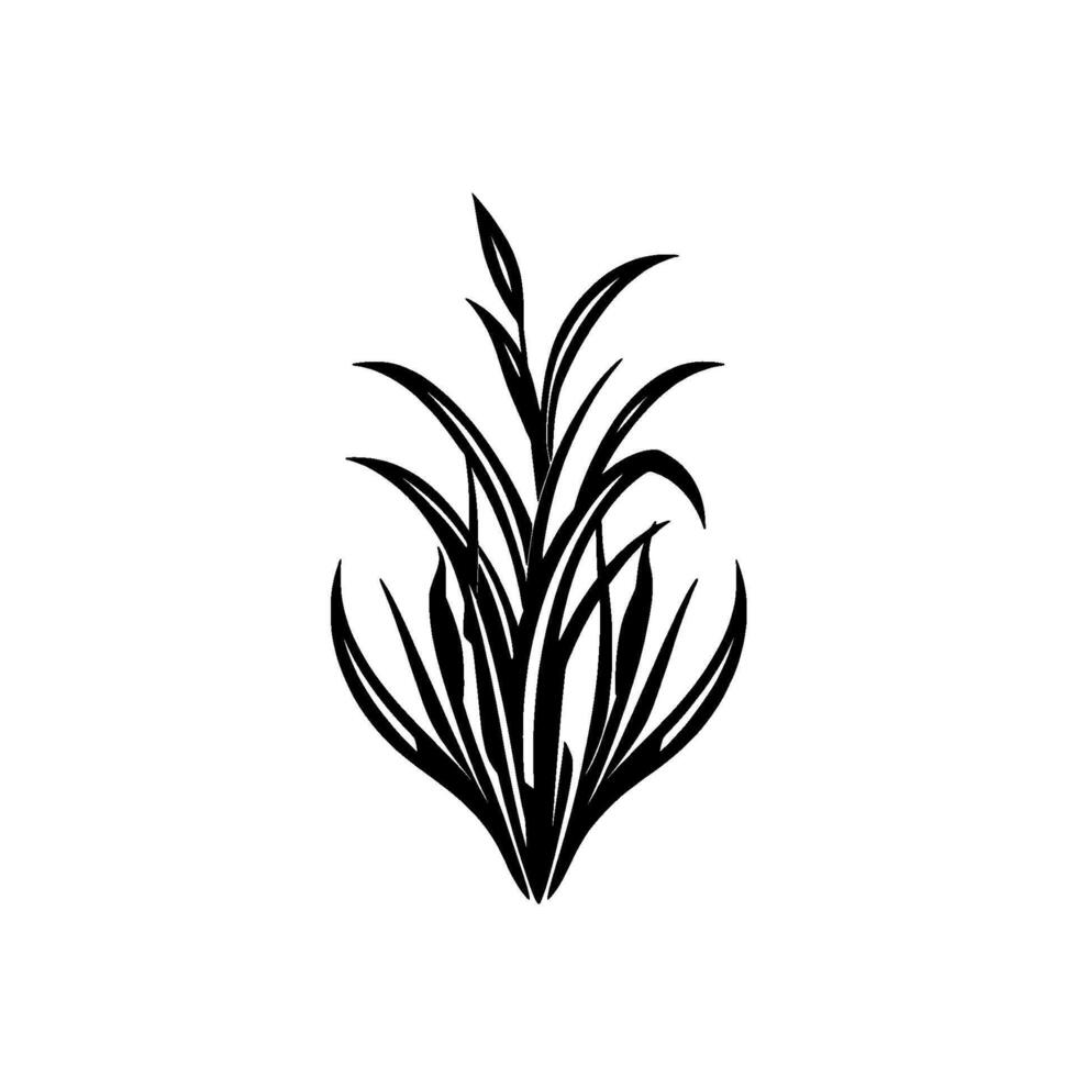 BlackandWhite Silhouette of Lush, Pointed Grasses Forming a Symmetrical, Stylized Floral on White Background. vector