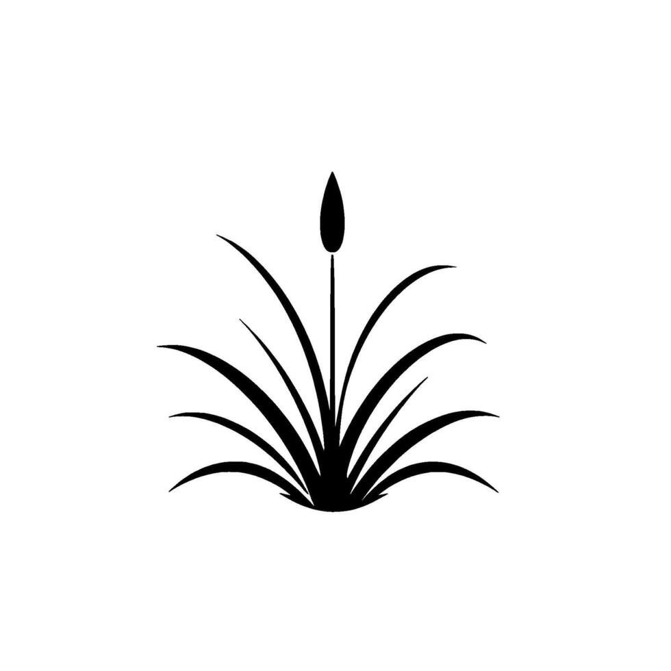Minimalist black silhouette of a reed or aquatic plant with a seed head, centered on a stark white background. vector