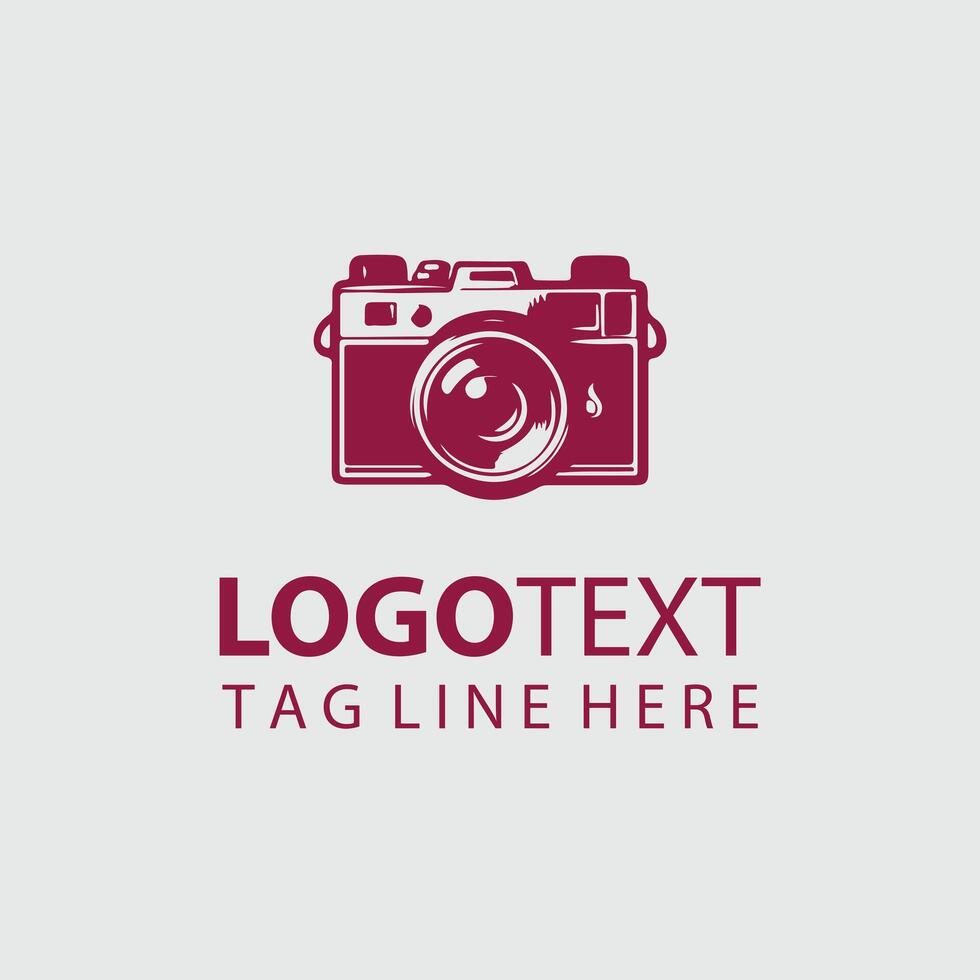 Digital Diaries Camera Books vector