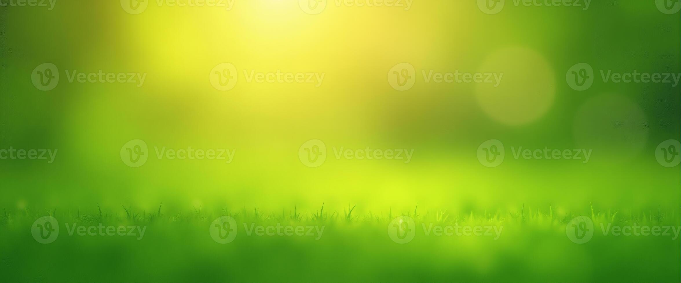 Fresh Green Grass Background with Bokeh Light for Spring Season photo