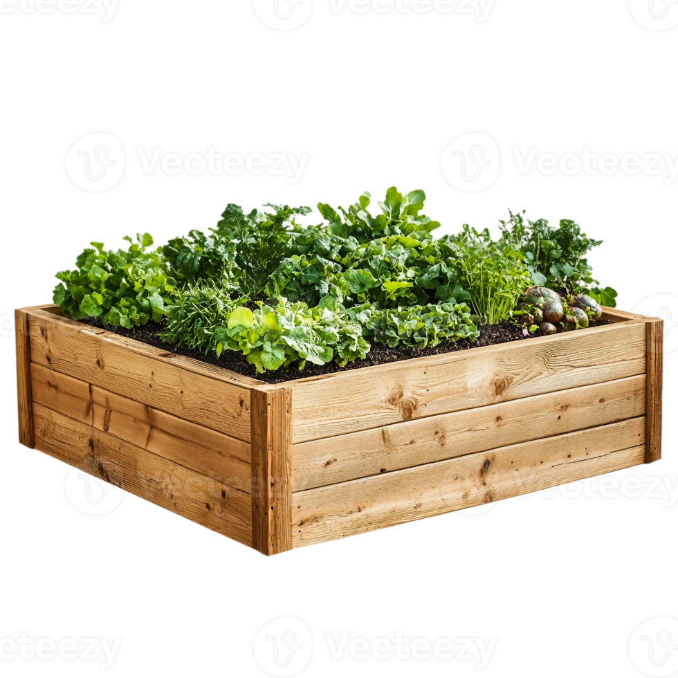 Garden Bed with Vegetables on Transparent Background png