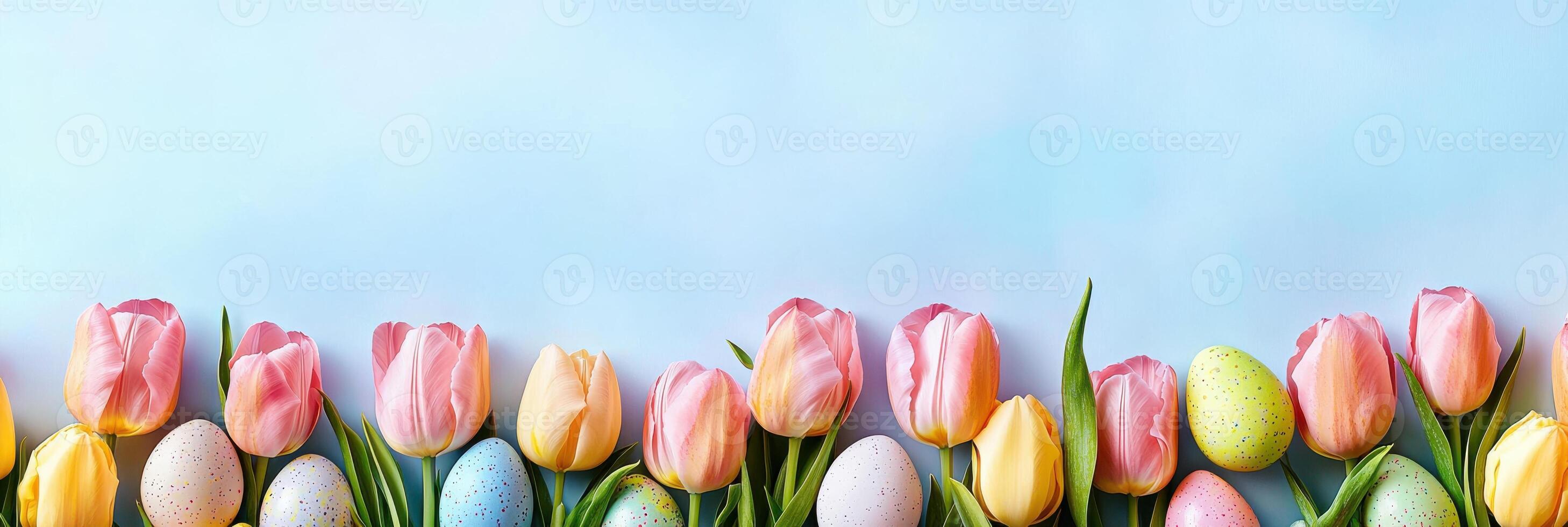 Colorful tulips and easter eggs lined up against a soft blue background photo