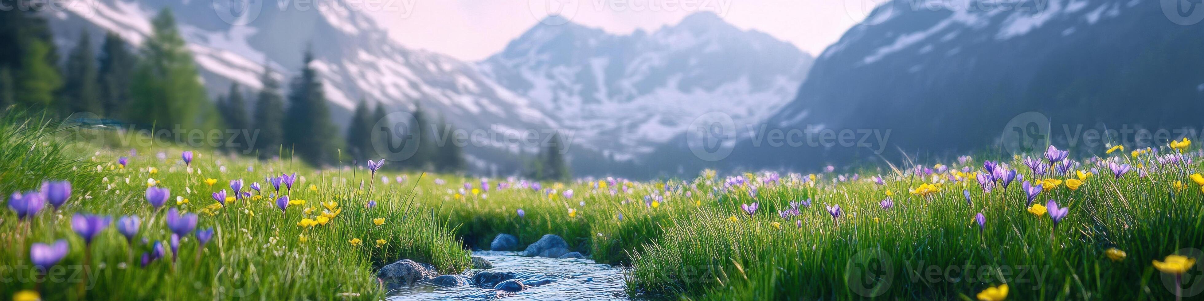 Mountain valley with wildflowers and stream in springtime landscape nature scene photo