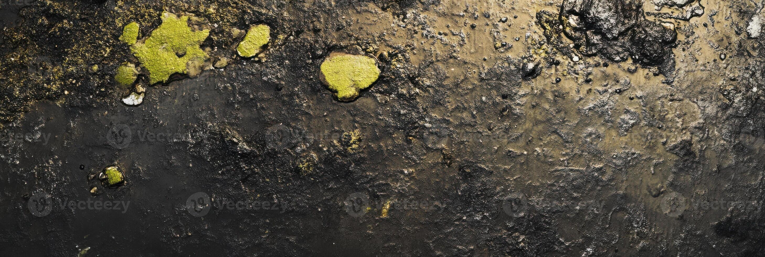Abstract textured surface with green moss on dark grungy background photo