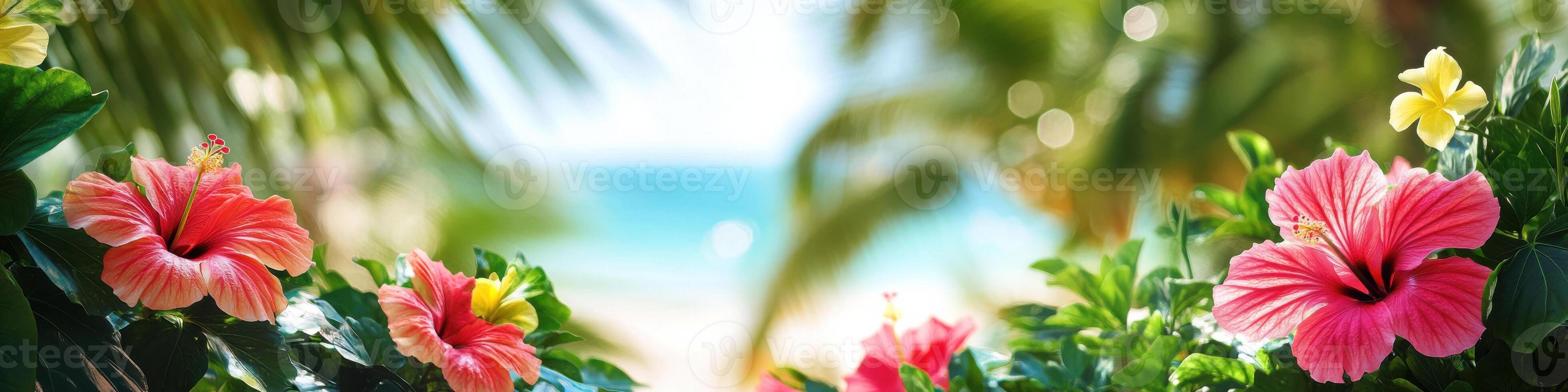 Vibrant hibiscus flowers with tropical beach background for summer concepts photo