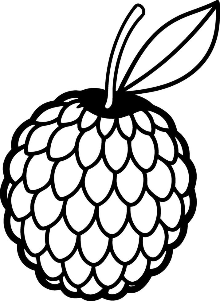 Lychee Fruit on White Background High-Quality Stock Image for Commercial Use vector