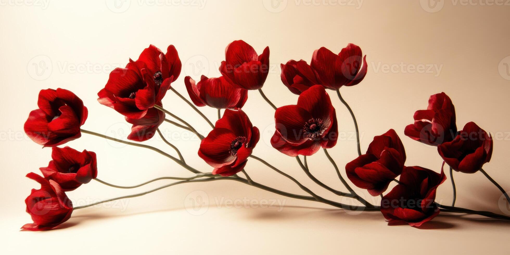 Red anemone flowers arranged on a neutral background in horizontal layout photo