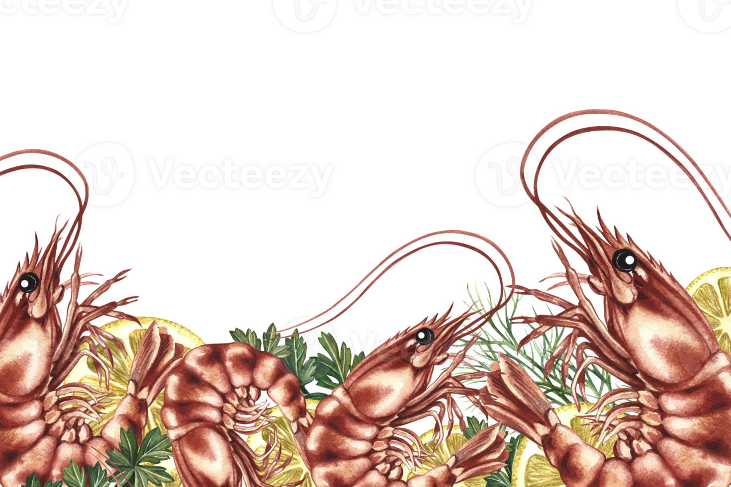 A banner frame with an image of shrimps and lemons. A hand-drawn watercolor illustration. A color template featuring seafood and vegetables. For menus, recipe, packages, labels. png