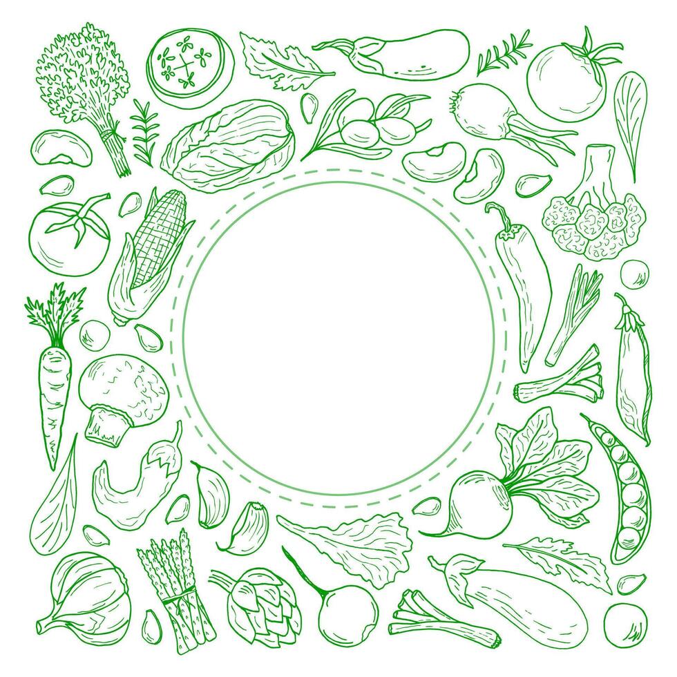 A doodle-style vegetable frame. Background image of organic products with space for text. Corn, tomatoes, beans, asparagus, peppers, carrots, radishes and other farm vegetables. vector