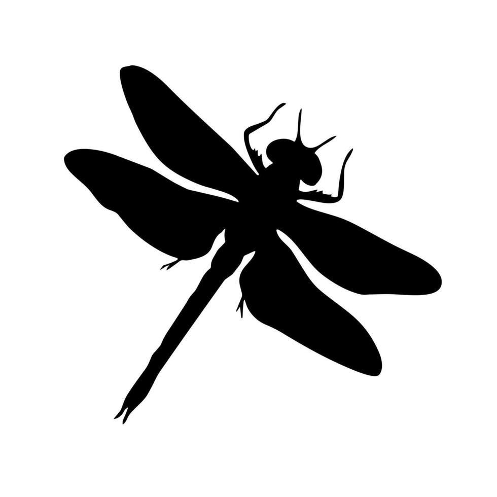 Dragonfly silhouette in black, handmade. Hand-drawn insect, realistic illustration vector
