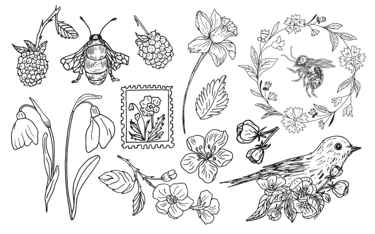 set with blooming branches, flowers, berries, bird, wreath and bees. Botanical hand-drawn graphic sketch for postcards, invitations, tattoos, labels, stickers vector