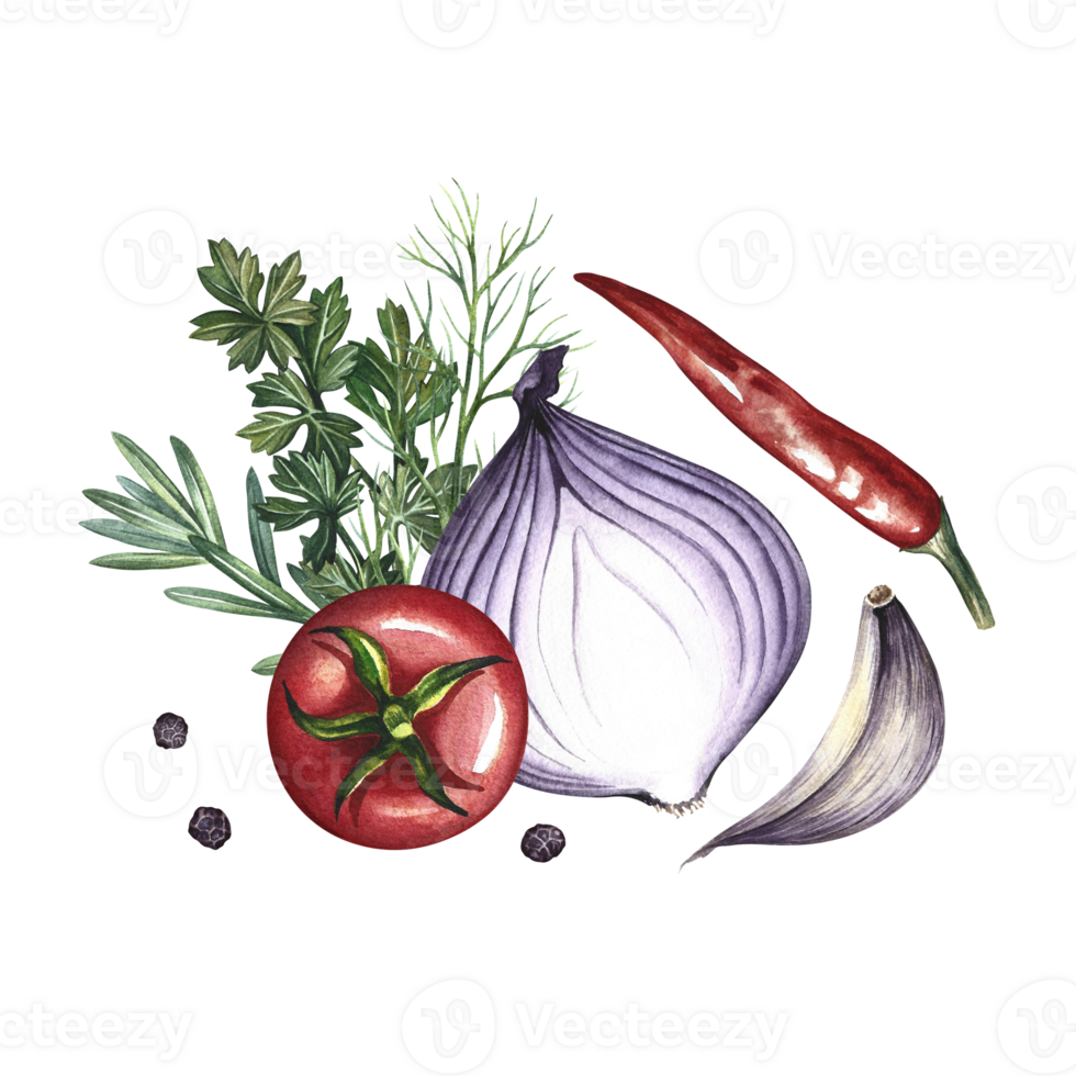 Composition with vegetables. A hand-drawn watercolor illustration. A color image of ketchup or sauce ingredients. Tomatoes, herbs, garlic, pepper and onion. For menus, recipe books, packages, labels. png