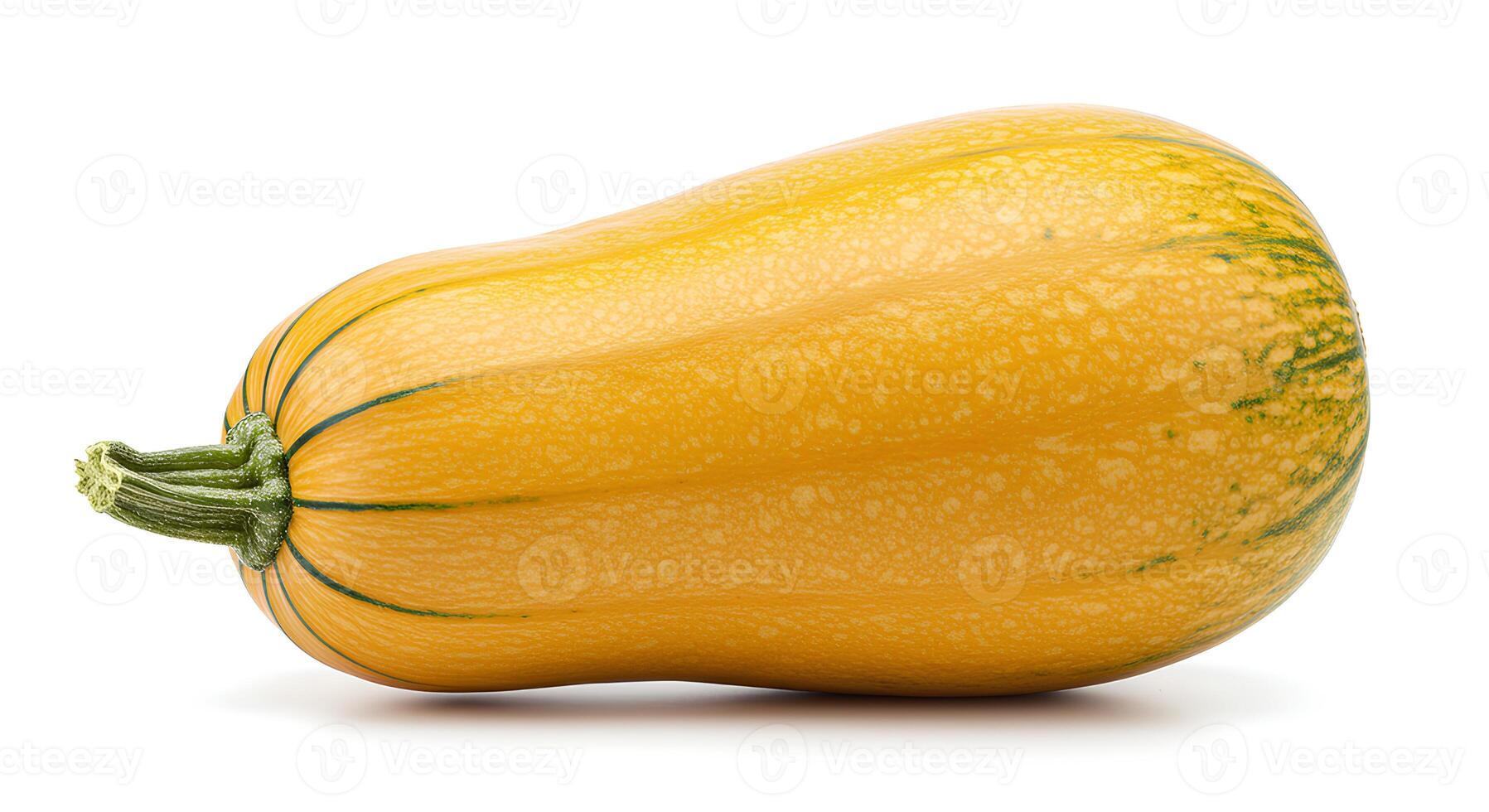 Butternut and Honeynut Squash Isolated. A farm-fresh vegetable perfect for recipe blogs, food branding, and nutritional campaigns photo