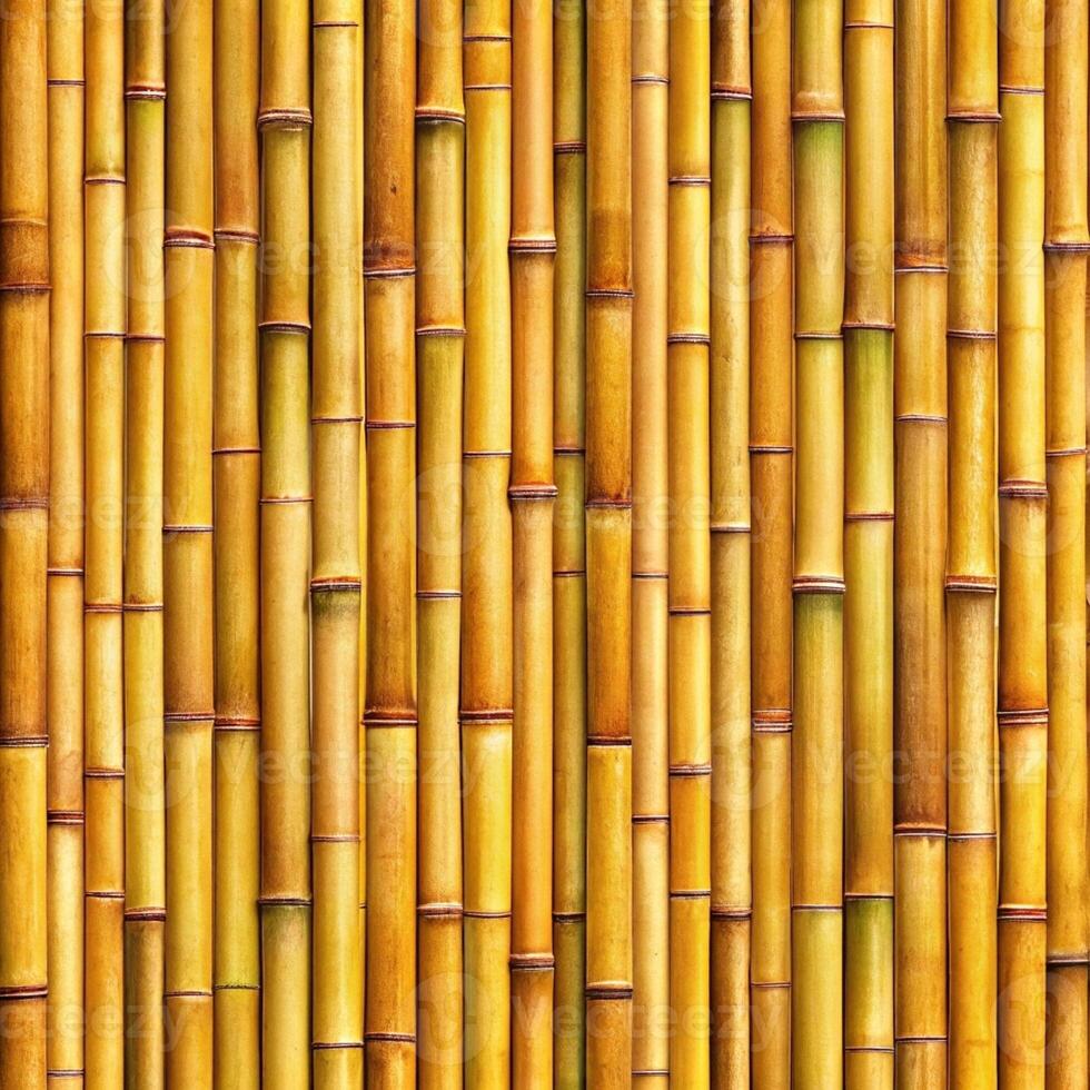 Bamboo background wallpaper featuring lush green stalks, creating a serene and natural ambiance for any space. photo