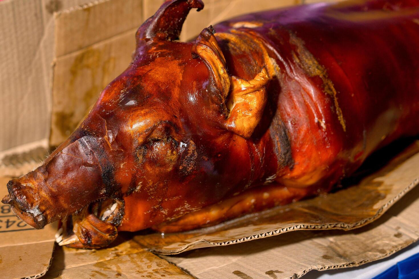 whole pig lechon for a feista photo