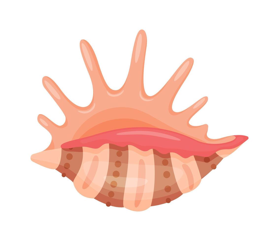Spider Conch Seashell. Hand drawn trendy flat style isolated icon on a transparent background seashell. illustration vector