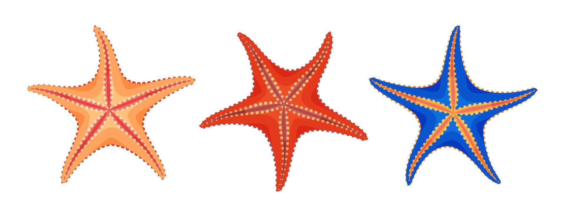 Starfish icon set. Sea stars animal Hand drawn trendy flat style Starfish isolated icons. Echinoderm Underwater Marine animals. Summer illustration for web design, Greeting card, poster tattoo vector