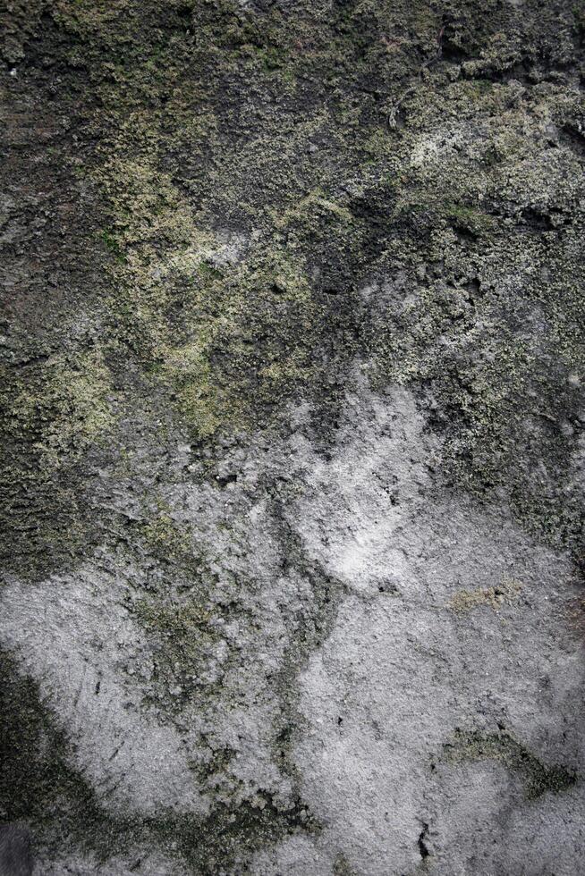 old wall texture photo