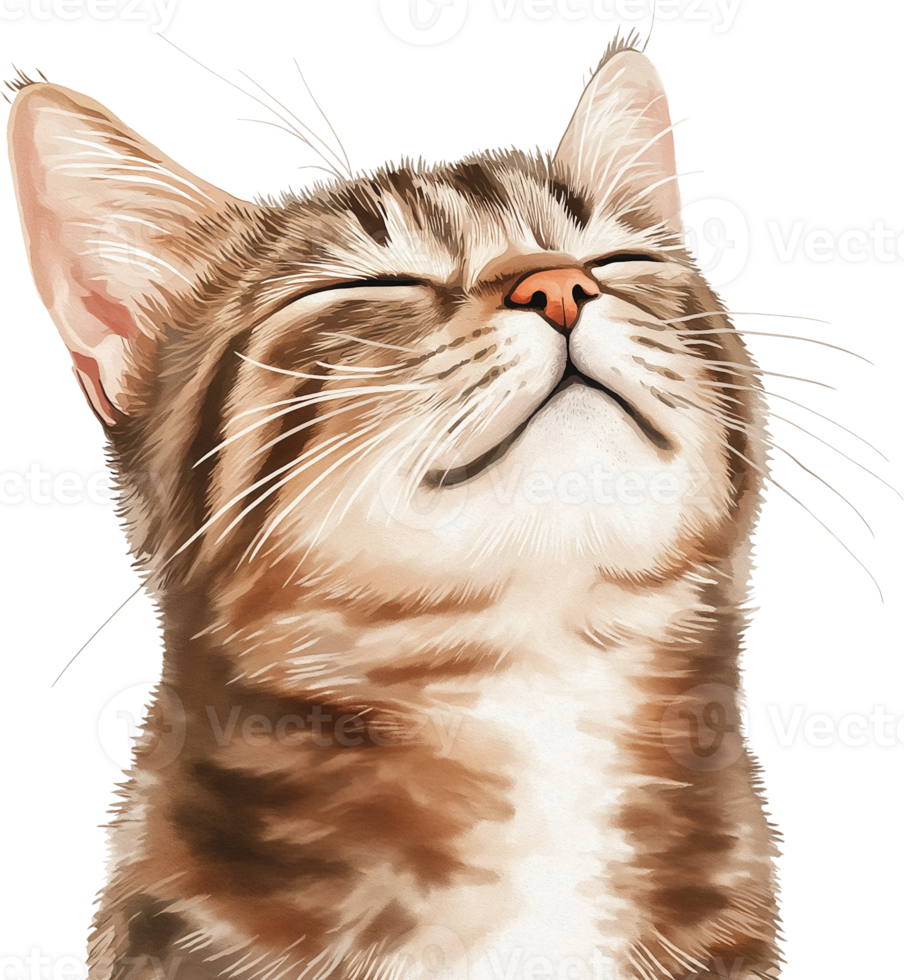 A cat is smiling with its eyes closed png