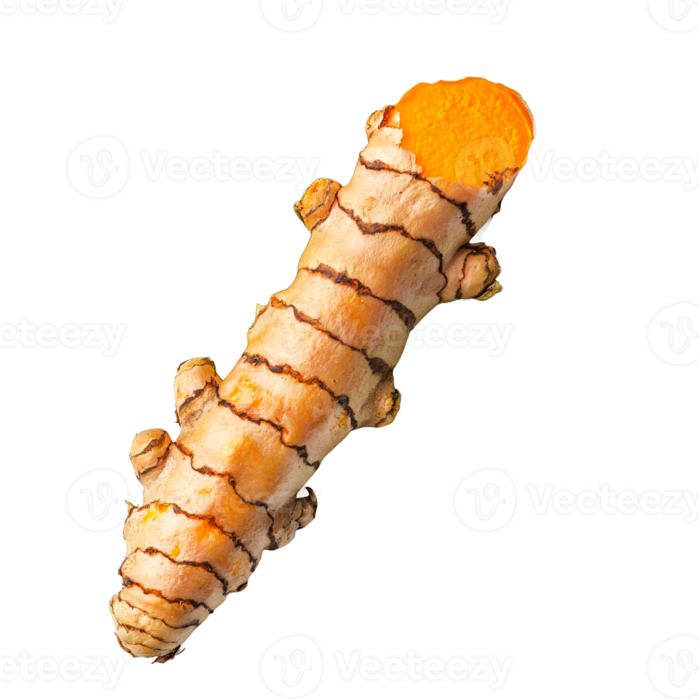 Organic ginger piece with rough skin png