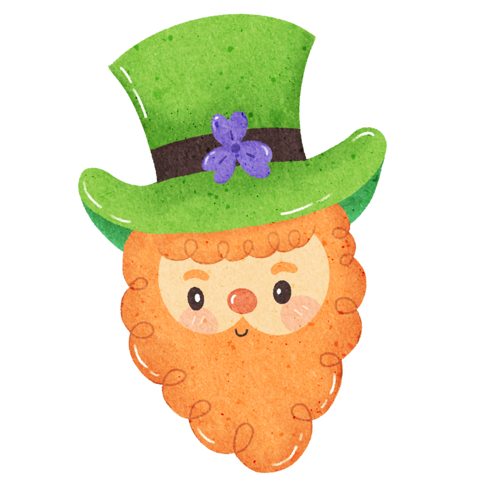 a cartoon leprechaun with a green hat and beard png