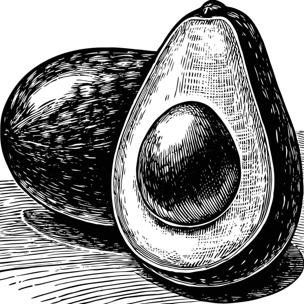 an illustration of an avocado with a slice cut out vector