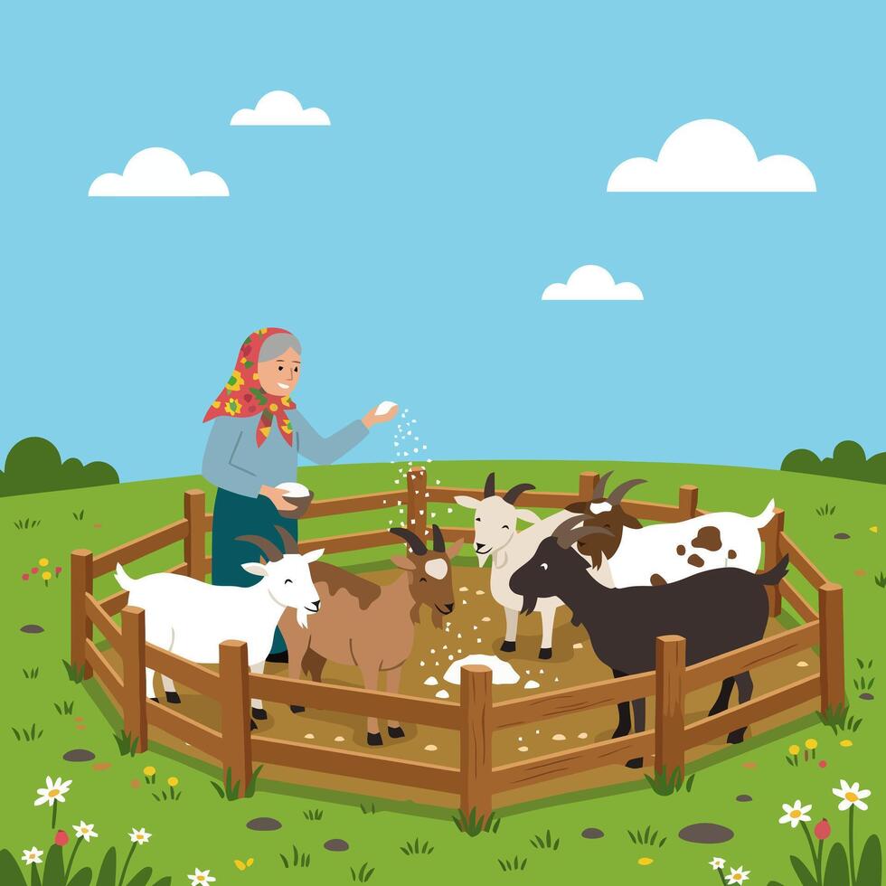 Woman Feeding Goats in a Pen on Green Field Illustration vector