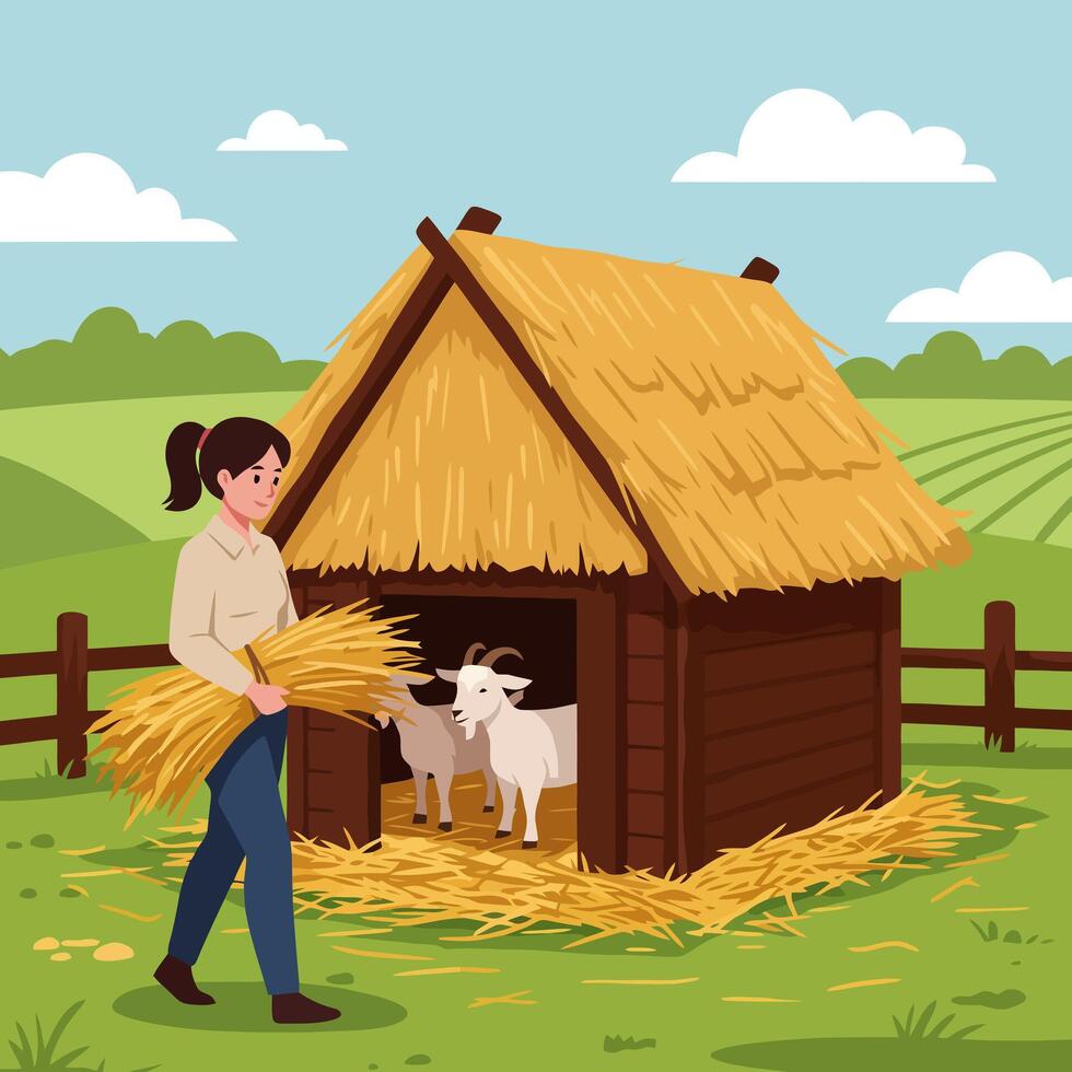 Woman Carrying Hay Toward Goats in Rustic Farm Building Illustration vector