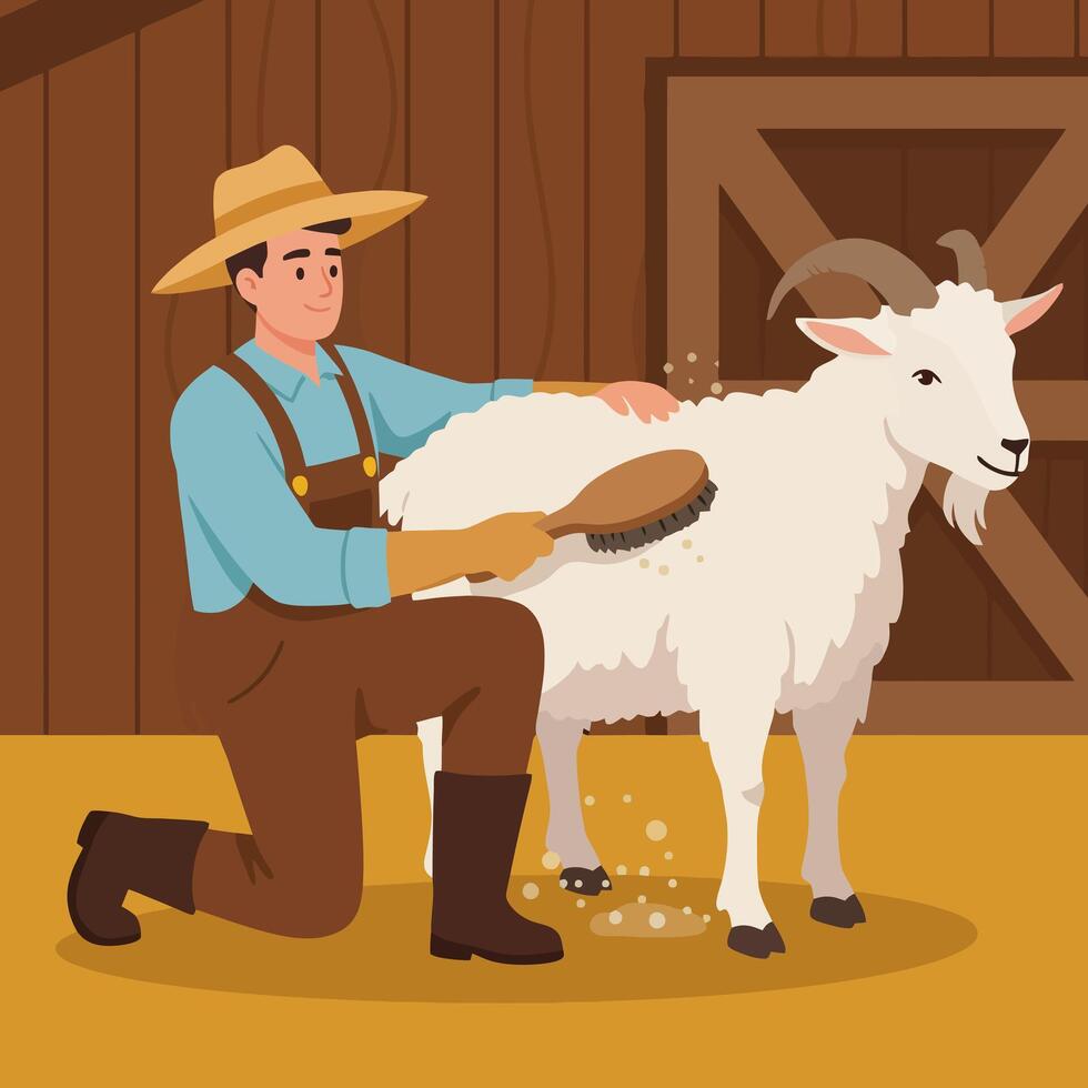 Farmer Brushing Goat Fluffy Fur in Barn for Animal Care vector
