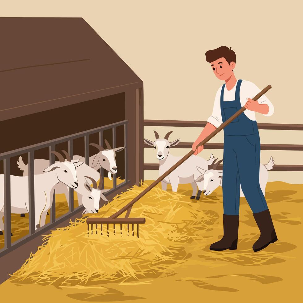 Farmer Raking Straw Bedding for Goats Inside Wooden Barn Illustration vector