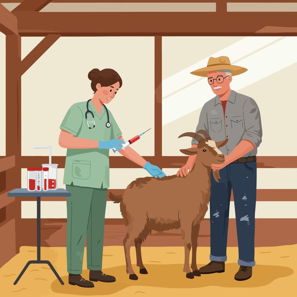 Goat Getting Vaccination by Veterinarian on Farm with Farmer vector