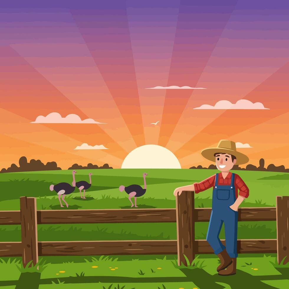 Cartoon Farmer Watching Ostriches at Sunset Over a Green Field vector