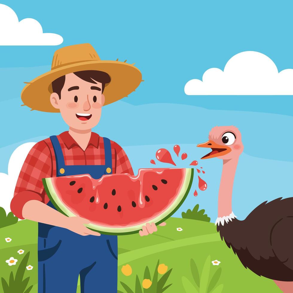 Farmer Sharing Watermelon with Ostrich on Farm in Summertime vector