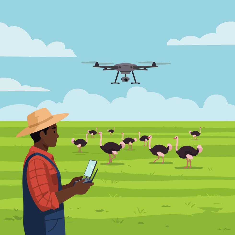 Farmer Operating Drone Over Ostriches in a Green Field Setting vector