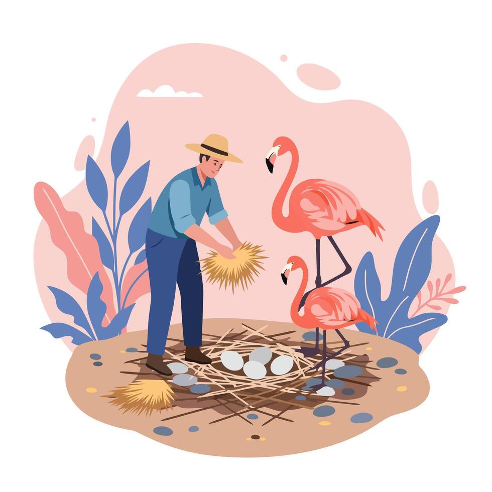 Man Building Nest for Flamingos with Straw and Eggs Illustration vector